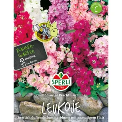 Levkojen Großblumige Mischung ^ Sperli Sale
