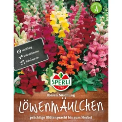 Löwenmaul ngs Riesen ^ Sperli Sale