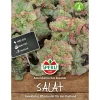 Pflücksalat Amerikanischer brauner ^ Sperli Outlet