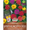 Portulakröschen Prachtmischung ^ Sperli Clearance