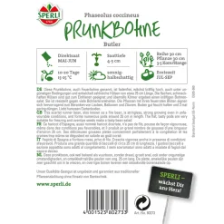 Prunkbohnen Butler ^ Sperli Hot