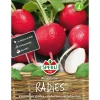 Radieschen Riesenbutter ^ Sperli Sale
