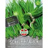 Schnittlauch Staro ^ Sperli