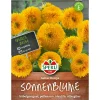Sonnenblumen Gelber Knirps ^ Sperli Online