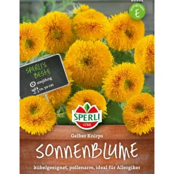Sonnenblumen Gelber Knirps ^ Sperli Online
