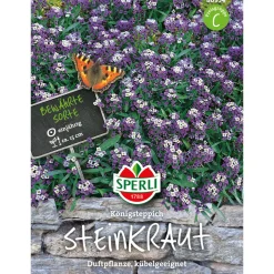 Steinkraut ngs Königsteppich ^ Sperli Discount