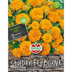 Studentenblumen Petite Orange ^ Sperli Outlet