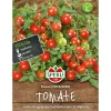 Tomaten Donna ^ Sperli Sale