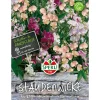 Wicken Staudenwicken Mischung ^ Sperli Hot