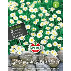 Wiesengänseblümchen ngs Tausendschön ^ Sperli