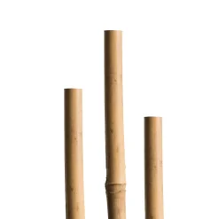 Splittstäbe 40cm natur Bund 15 ^ Windhager Online
