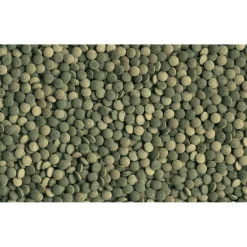Fischfutter Pleco Tablets 58 Tabletten ^ Tetra Best