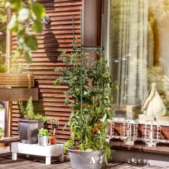 Tomaten-Rankturm 150x30cm ^ Windhager Outlet