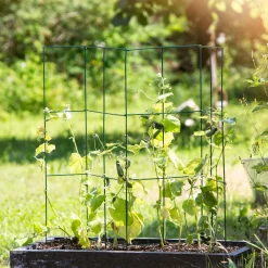 Tomaten-Turm 4-tlg. 35x35x118cm ^ Windhager Sale