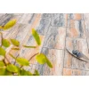 TP No. 1 Parasol Muschelkalk 80x40x5 cm ^ Diephaus Clearance