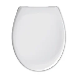 WC-Sitz Pebble Duroplast ^ Valblue Online