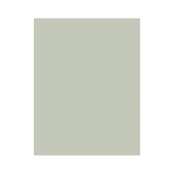 2in1 Buntlack Lichtgrau seidenmatt 125 ml ^ Vincent Sale