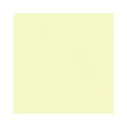 Wand- und Deckenfarbe Spring 5 L ^ Vincent