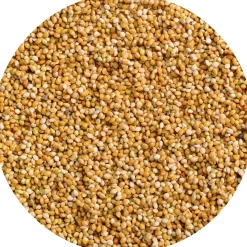 Honig-Perlen 20g Sittich Beutel ^ Vitakraft New