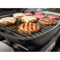 Gasgrill mit Stand Q1200N ^ Weber Discount