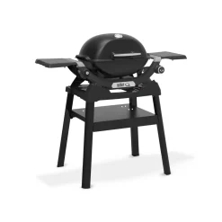 Gasgrill mit Stand Q1200N ^ Weber Discount