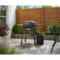 Gasgrill mit Stand Q2200N ^ Weber Best