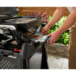 Gasgrill mit Stand Q2200N ^ Weber Best
