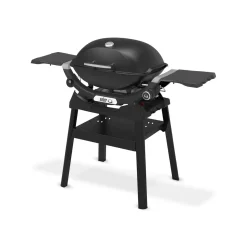 Gasgrill mit Stand Q2200N ^ Weber Best