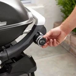 Gasgrill mit Stand Q2200N ^ Weber Best