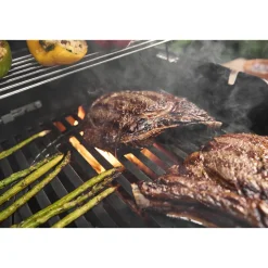 Gasgrill SPIRIT E-310 ^ Weber Clearance