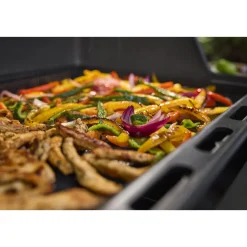 Gasgrill SPIRIT E-425 GBS ^ Weber Hot