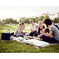 Holzkohlegrill Go-Anywhere ^ Weber Outlet