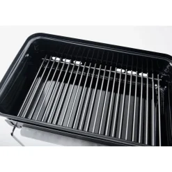 Holzkohlegrill Go-Anywhere ^ Weber Outlet