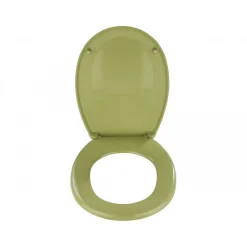 WC-Sitz Bergamo Grün antibakteriell ^ Wenko Online