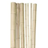 Bambusrohr 200x5-6 cm ^ Windhager