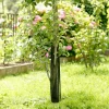 Baumschutz-Gitter 55 cm 2 Stück ^ Windhager New