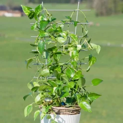 Blumenstütze 77x34 cm metall ^ Windhager New