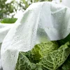 Frühbeet-Folie Supergrow 5x1,35 m ^ Windhager New