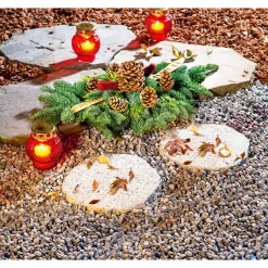 Granit-Trittstein Durchmesser ca 35 cm ^ Wingart Best