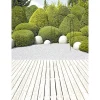 Rosenbogen 240 x 140 x 38 cm schwarz pulverbeschichtet ^ Wingart Outlet