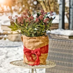 Wintersch.-Vliesmatte Jute 0,38x1,5 m ^ Clearance