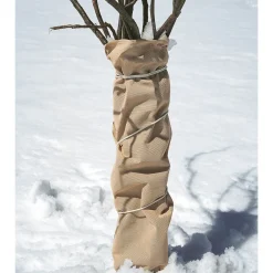 Winter-Vlies Protect 5x2 m, 30g/m2 ^ Online