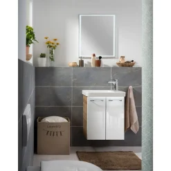 WT-Unterschrank GWC 52x61x27,5 AsEi/wei.Milano 2 Tueren, 1 Einlegeboden ^ Fackelmann Discount